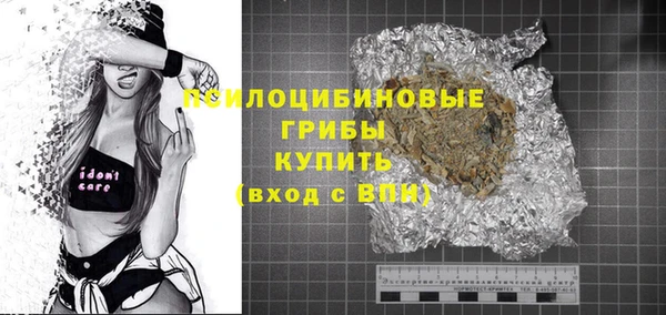 герыч Алексин