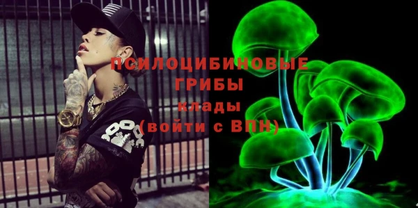 герыч Алексин