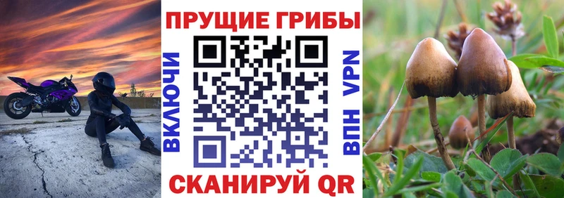 Галлюциногенные грибы мицелий  Харовск 